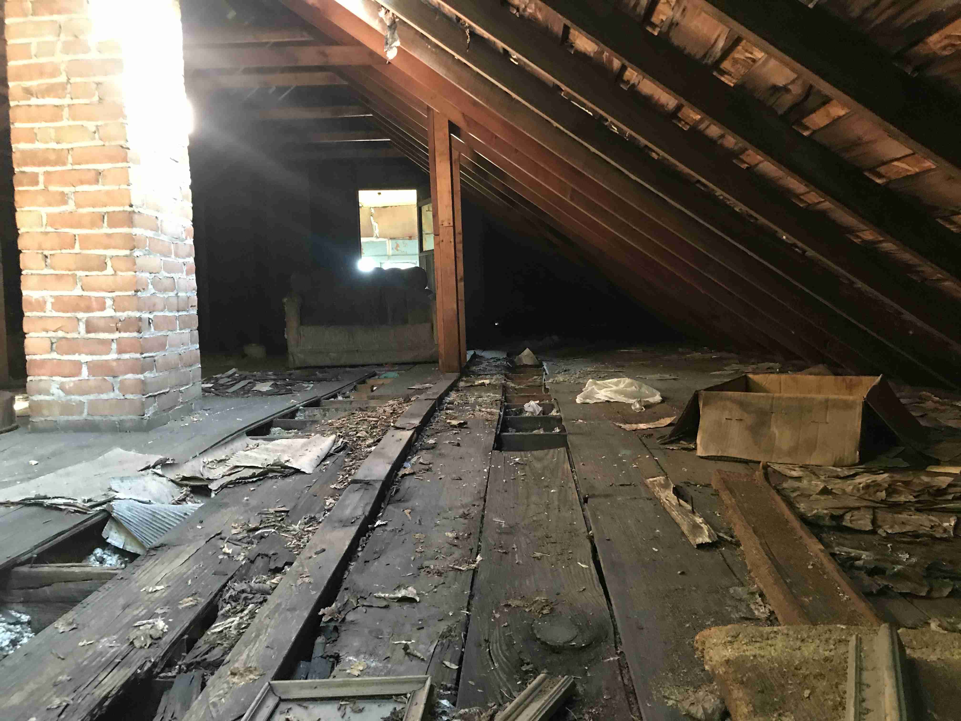 Photo Aug 20, 10 19 57 AM.jpg